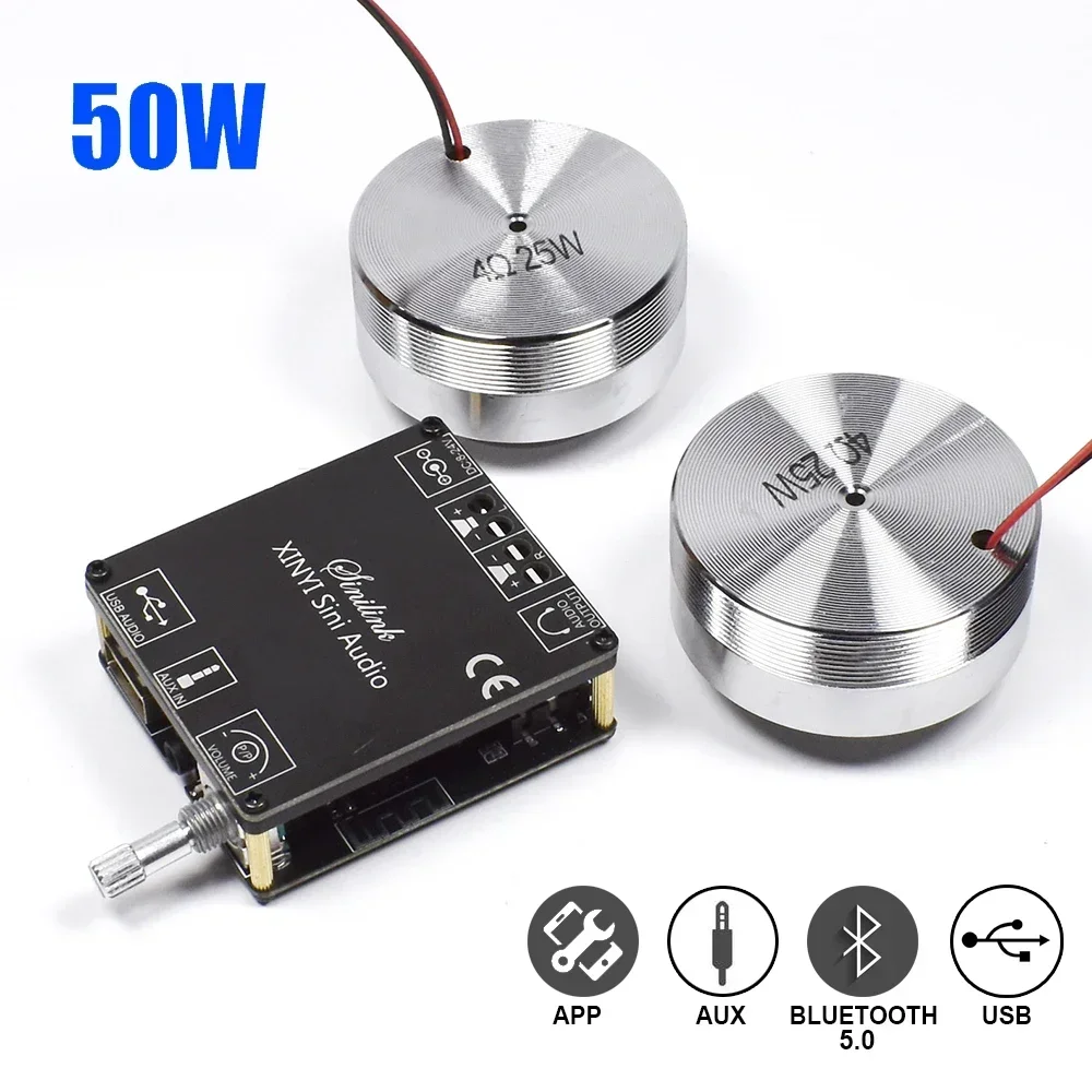 2*25W Speaker getar Stereo por - Audio Home Cinema ulasan dan harga